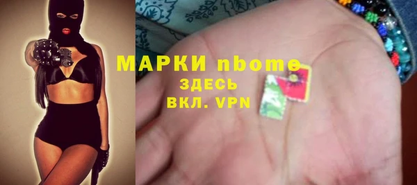 индика Алзамай