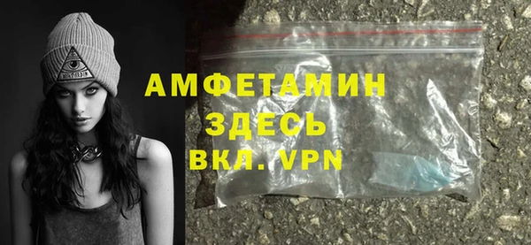 индика Алзамай