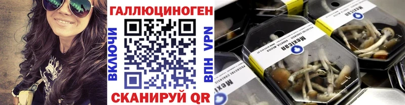 kraken как зайти  Качканар  Псилоцибиновые грибы MAGIC MUSHROOMS 