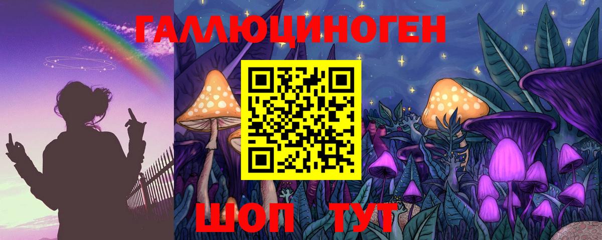 Галлюциногенные грибы Psilocybine cubensis  цена   Качканар  Вход с VPN 